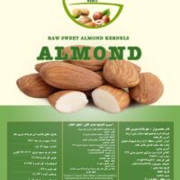 مغز بادام شیرین خام
